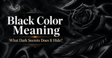 black color meaning what dark secrets does it hide