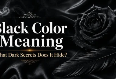 black color meaning what dark secrets does it hide