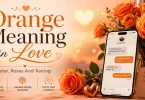 orange meaning in love color rosesa and texting