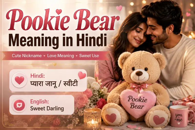 pookie bear meaning in hindi