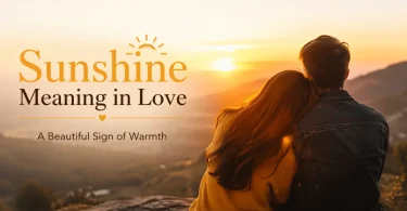 sunshine meaning in love what does it really mean